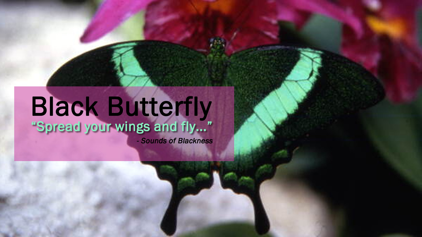 black-butterfly-sounds-of-blackness